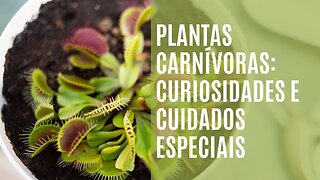 Plantas carnívoras - curiosidades e cuidados especiais