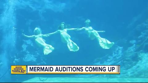 Weeki Wachee is looking for new mermaids