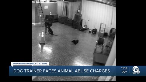 Dog trainer faces 5 charges of animal cruelty in Loxahatchee