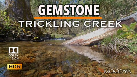 Dolby Vision HDR Video - Gemstone Creek Nature Video - Colorize Your Day