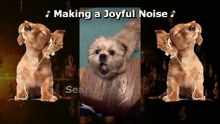 My Puppy, Elvis, Makes a Joyful Noise