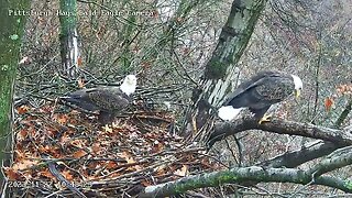 Hays Eagles Mom and V mate on the escalator! 11-22-2023 10:48am