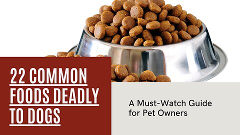 22 Common Foods Deadly to Dogs: A Must-Watch Guide for Pet Owners