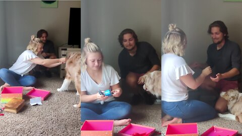 Guy uses doggy to surprise girlfriend with proposal