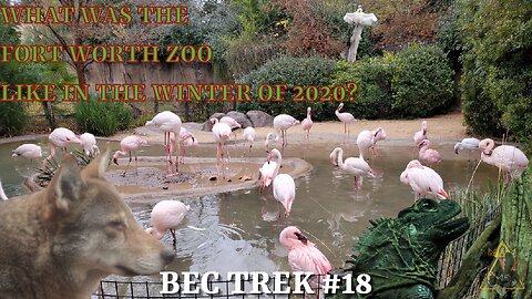 The Final Zoo of the Trip | End of Year Trip, 2020: Pt3 | BEC TREK Episode 18