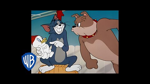 Tom & Jerry in italiano | Cartoni Animati Classici Compilazione | Tom, Jerry, e Spike | WB Kids