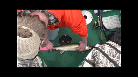 Post-Spawn Walleye STRUGGLES, Green Bay Walleye | Wisconsin Walleye Fishing