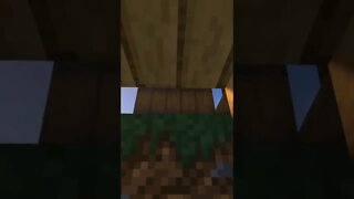 Minecraft #tiktok #Shorts