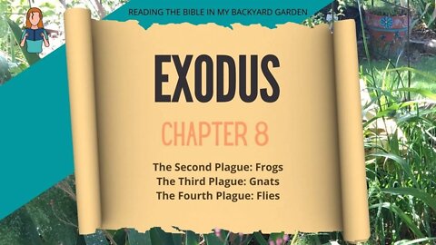 Exodus Chapter 8 | NRSV Bible Reading