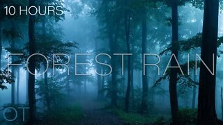 Rain in Forest White Noise | Rain sounds for Sleep | Study | Relaxation | 10 Hours of Rain Ambience