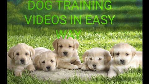 Dog Training Video in easy way