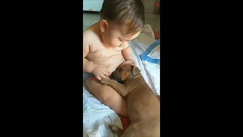 Adorable Baby Touches Sleepy Puppy as It Lays in His Lap