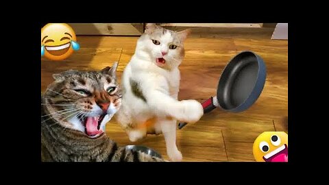 Funniest Animal Videos 🤣 - Best Cats😺 and Dogs🐶 Moments 2024 #4