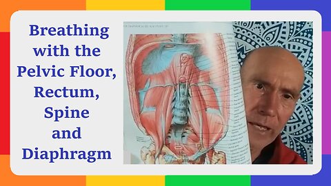 Breathing with the Pelvis, Pelvic floor, Rectum, Spine & Diaphragm