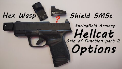 Springfield Armory Hellcat RDP - Hex Wasp vs Shield SMSc - Gain of Function (part 2)