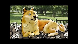 DogeCoin Transactions Reach 📈 49,000,000! 📈 💰 Daily Dogecoin News 💰