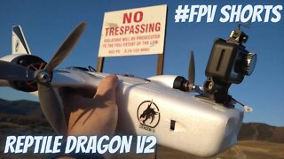 Reptile Dragon V2 FPV-No Trespassing!