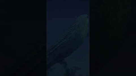 (Jurassic World Evolution 2) Mosasaurus