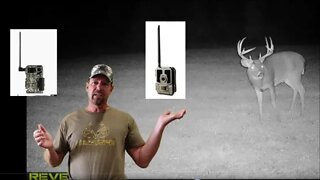 Tactacam Reveal vs. Spypoint Link Micro Cellular Trail camera Review