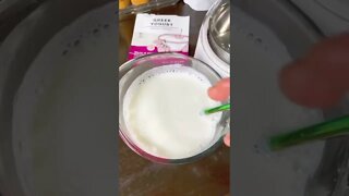 Homemade Greek Yogurt with Cultures for Health