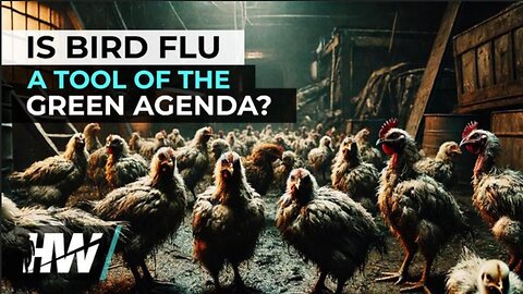 IS BIRD FLU A TOOL OF THE GREEN AGENDA? -Highwire with Del Bigtree (6.14.24)