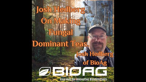 Josh Hedberg On Making Fungal Dominant Teas