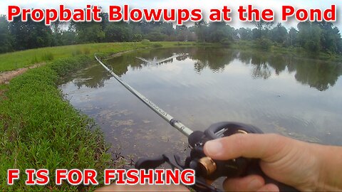 Propbait Blowups at the Pond
