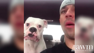 He Urges His Dog To “Shut Up.” The Canine’s Response Has Us Roaring With Laughter