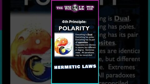 HERMETIC LAWS IV POLARITY - the Whole Tip Daily #shorts