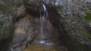 Take in the sounds of water dripping through rocks in a river - Nature sounds - Water sounds -