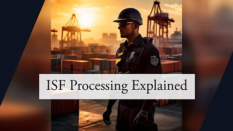 Navigating Processing Times for Importer Security Filings