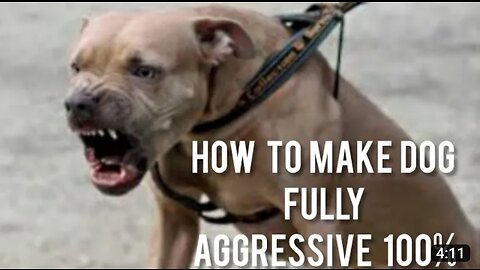 How to make dog become fully aggressive with few simple tips.