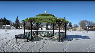 Walking in Regina, February 17, 2024: The community gardens in winter
