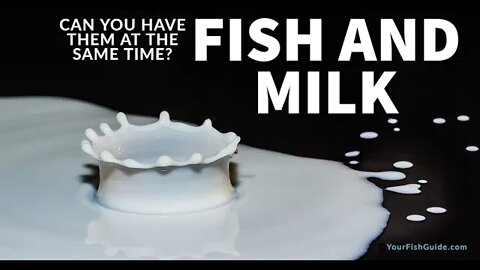 How Long After Eating Fish Can You Drink Milk ~ What Happens and Why We CAN Do it!