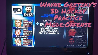 Wayne Gretzky's 3D Hockey