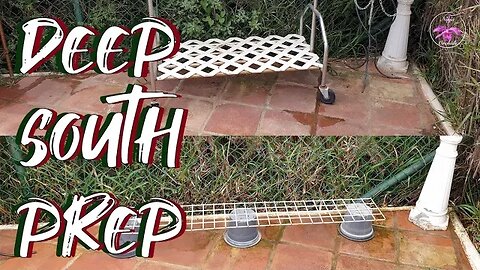 Cleaning up The Patio Deep South | Preparing Season 2023 Angraecoid Grow Space #ninjaorchids