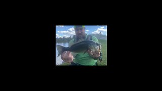 DIY homemade whopper plopper!!!