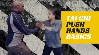 Kung Fu Training | Tai Chi | Push Hands | Basics