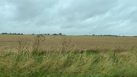 The Fens - birthplace of an Angl-Saxon rebel who fought the Normans - FULL STORY BELOW