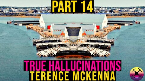 Terence McKenna - True Hallucinations Part 14