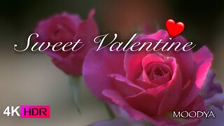 Valentine's Love Song Piano Jazz with Beautiful HDR Roses - Warm Your Heart