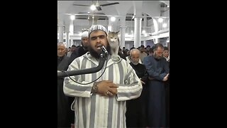 A cat plays with the imam during prayer