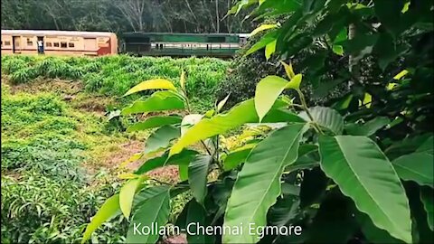 Kollam-Chennai Egomre Express Train | Pushpul Train