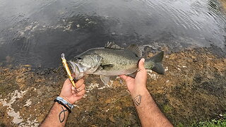 Jax, Florida: Neighborhood Bass Fishing During Hurricane Idalia!