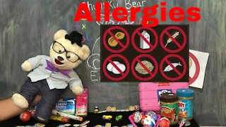 Learn all about Allergies with Chumsky Bear | Peanut Allergy | Science | Educational Videos for Kids