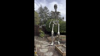 Giant Skeleton