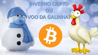 [CRIPTOMOEDAS] ESTAMOS NO INVERNO CRIPTO OU VOO DA GALINHA - VAMOS ATUALIZAR A CARTEIRA