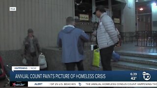 Annual count paints picture of homeless crisis