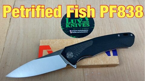 Petrified Fish PF838 / includes disassembly / great quality budget user !