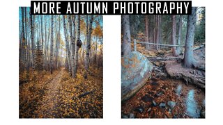 More Autumn Photography! | Lumix G9 Landscape Photography